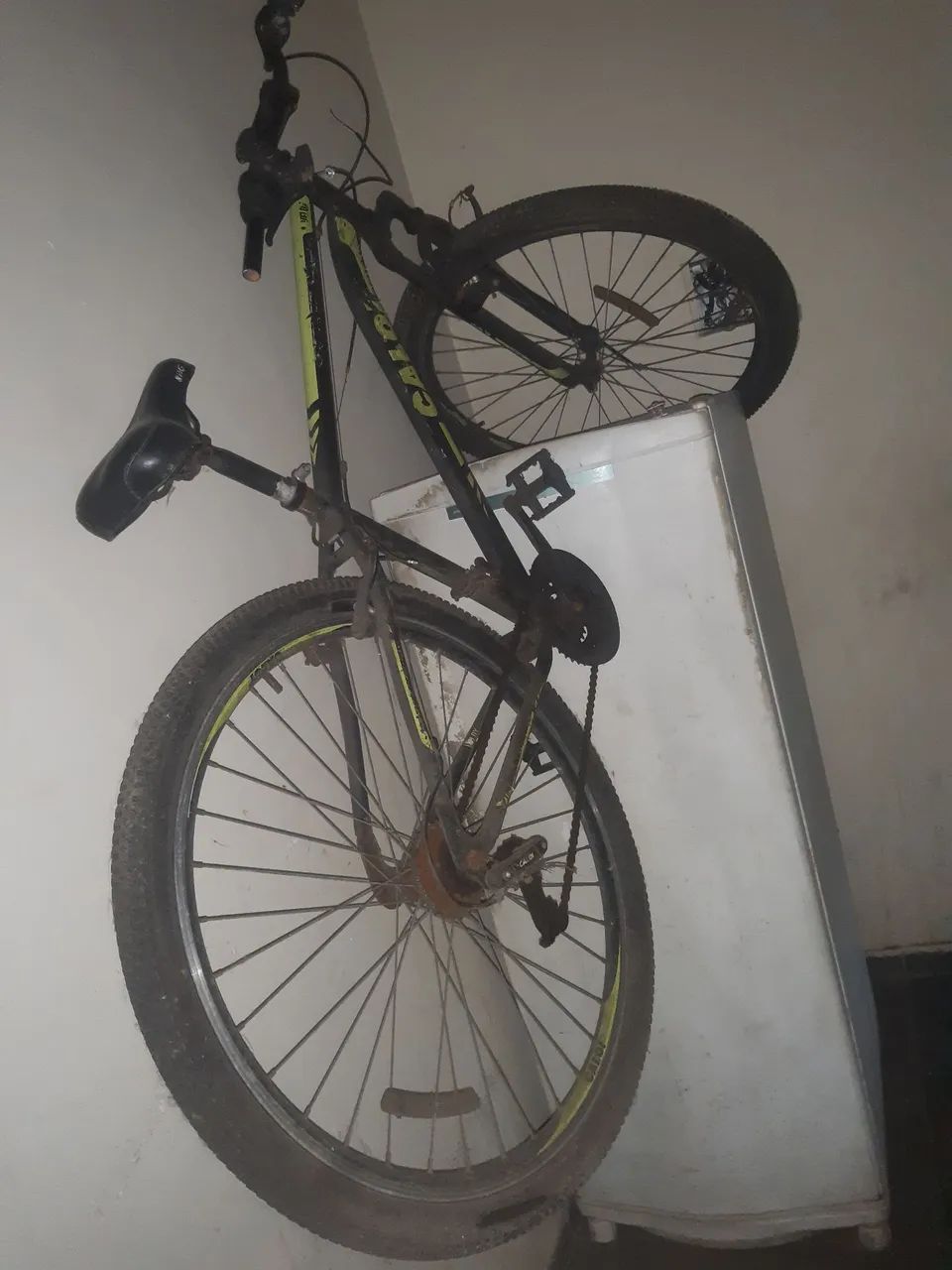 Bicicleta 