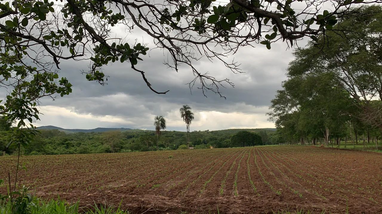 Fazendinha  - Foto 2