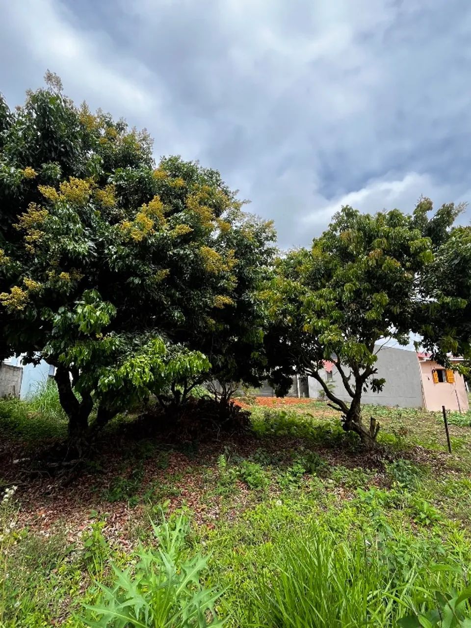 Terreno com 336m2 no Vale Sossai em Venda Nova do Imigrante