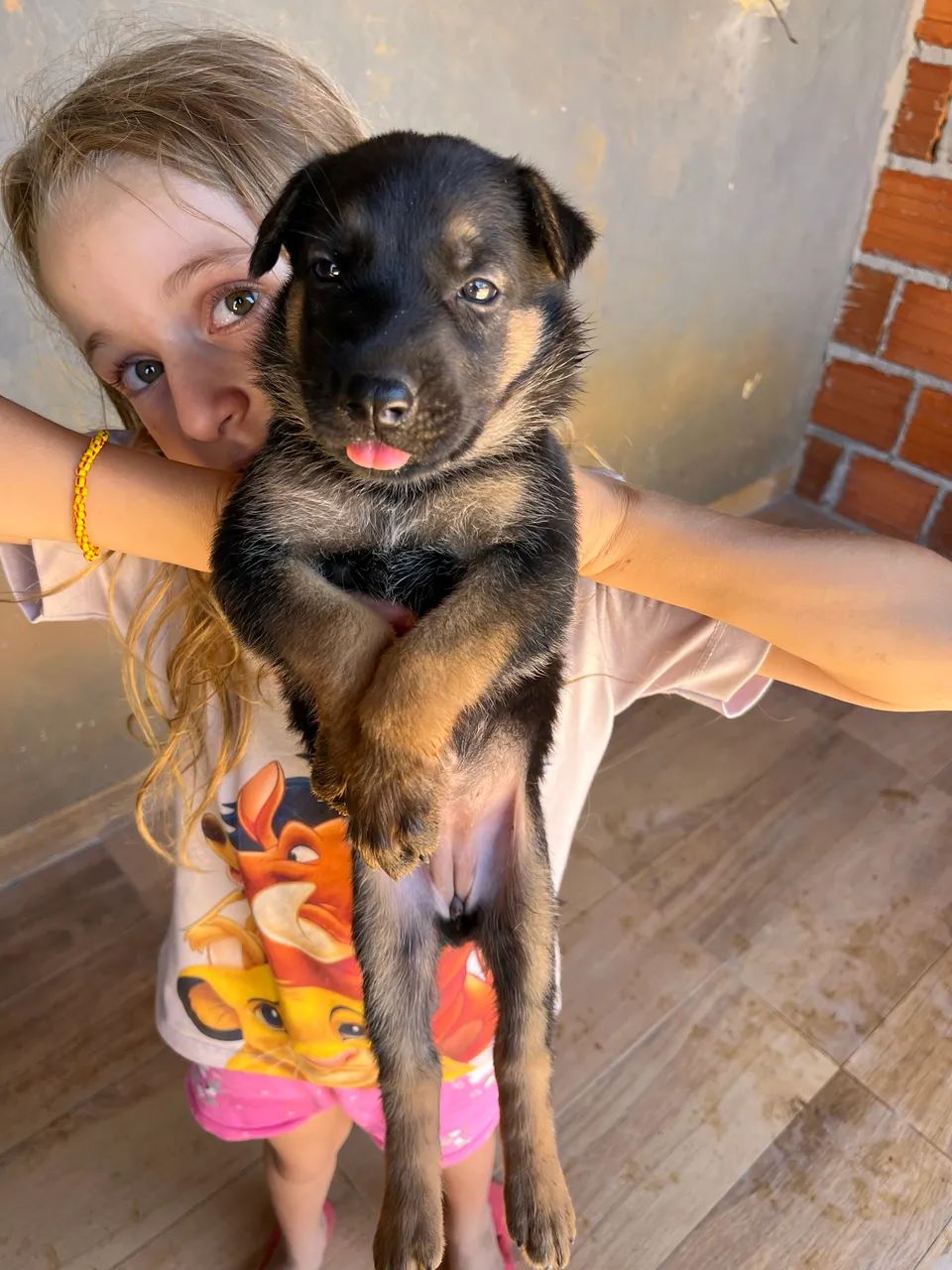 Vende -se cachorro  - Foto 5