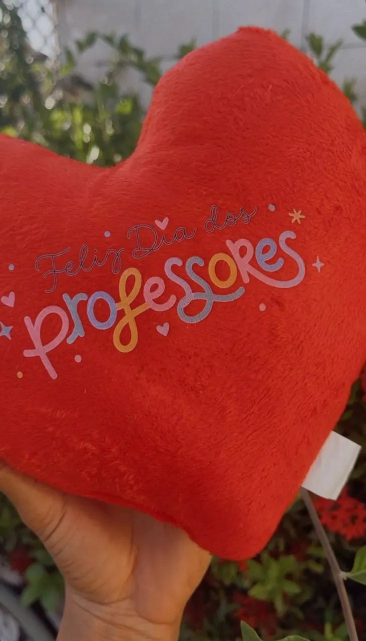 Coração de pelúcia 