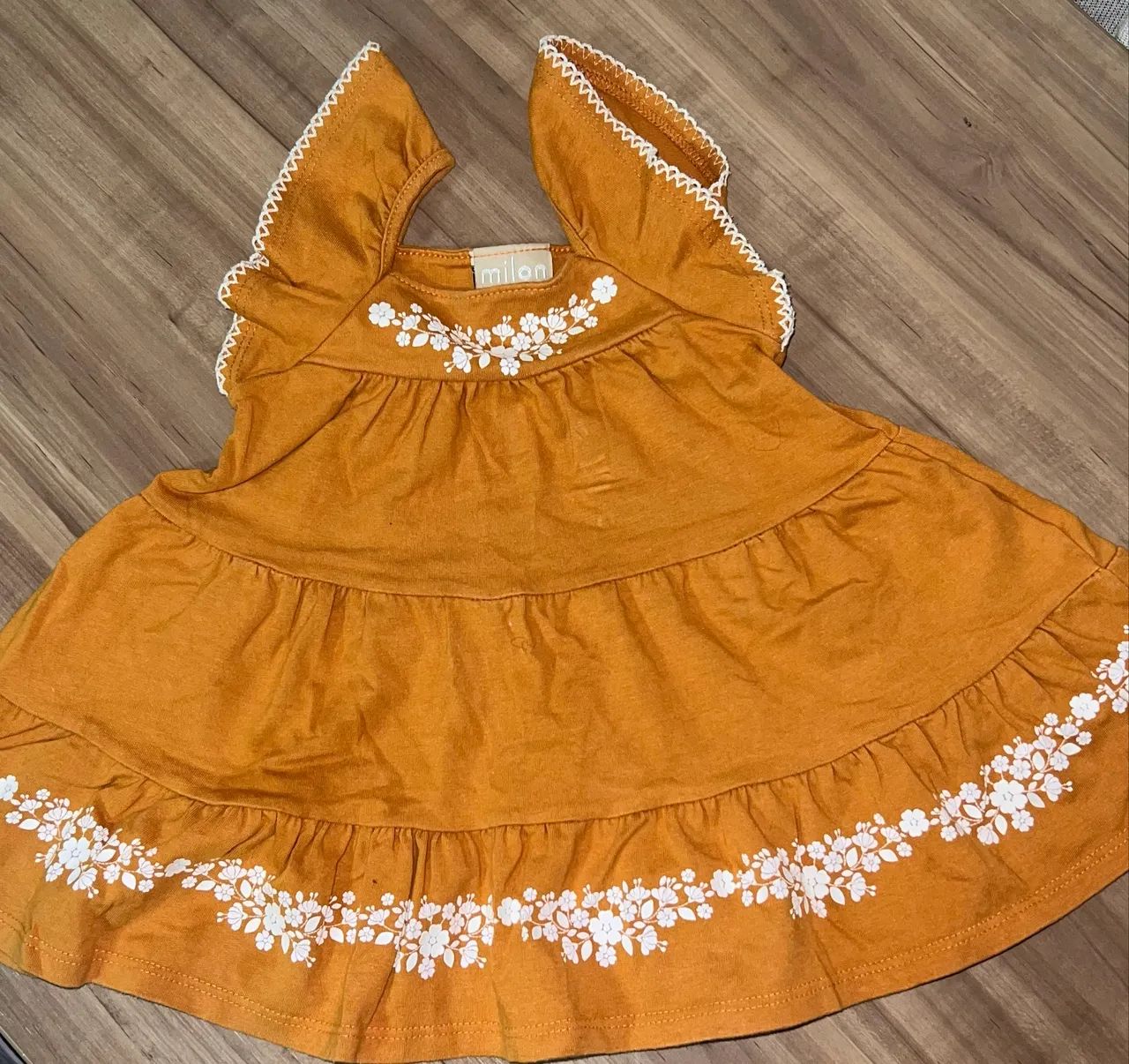 Vestido menina ( precoce, Milon e Carter?s )  - Foto 3