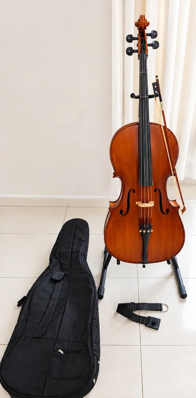 Violoncelo Eagle CE-300