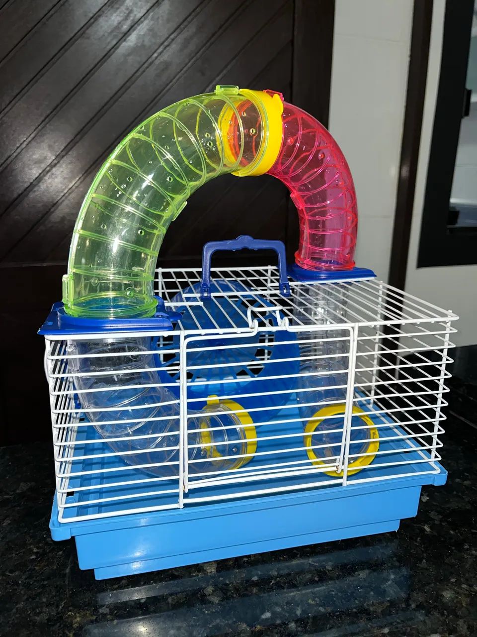 Hamster anão russo - Foto 3