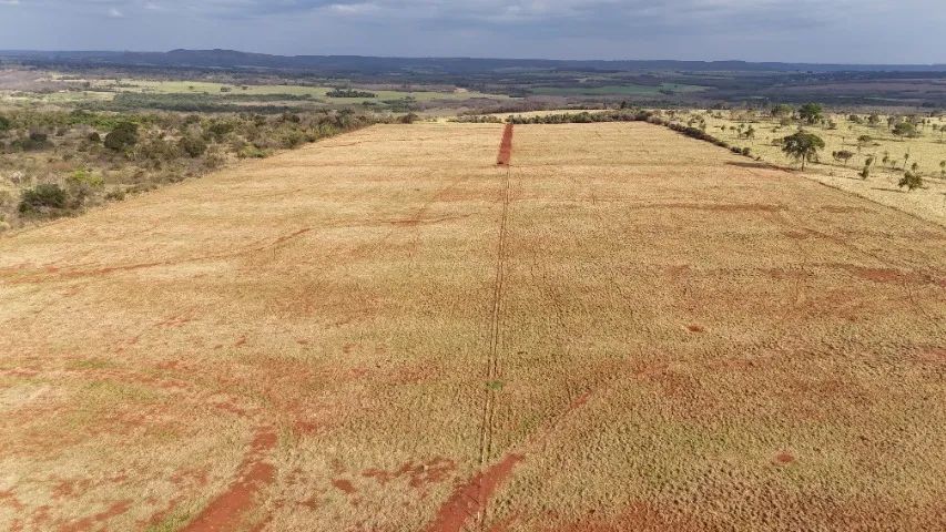 Fazendinha de 90 Hectares com rio próxima a Campo Grande-MS! - Foto 5