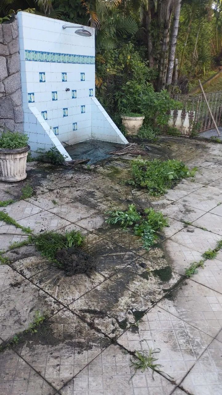 Serviços de jardinagem  - Foto 2