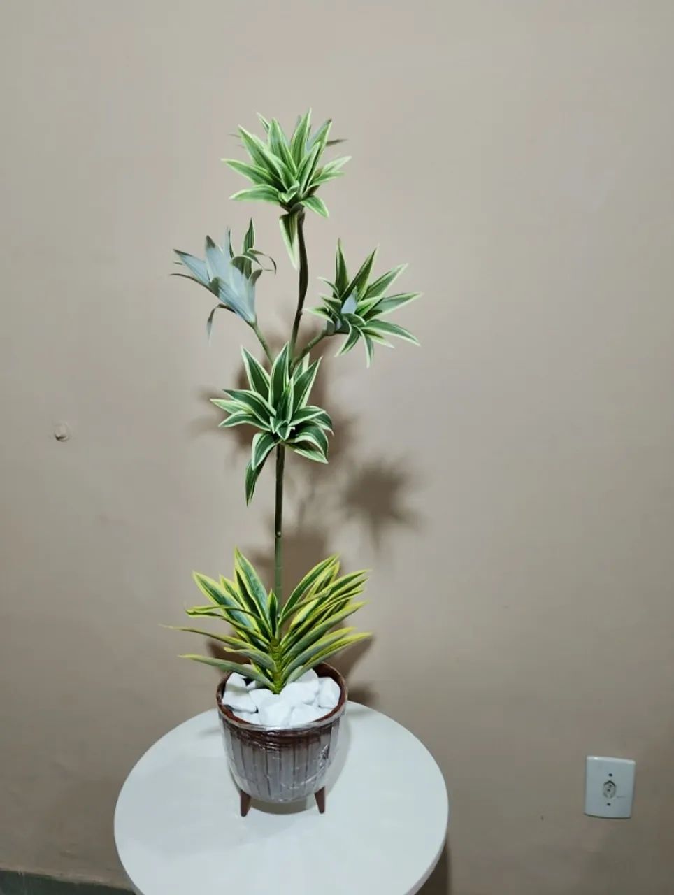 lindo arranjo de dracena brasileirinho permanente - Foto 6