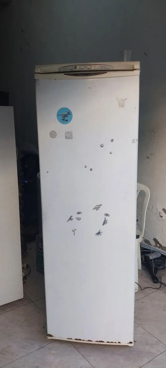 Freezer Eletrolux F250