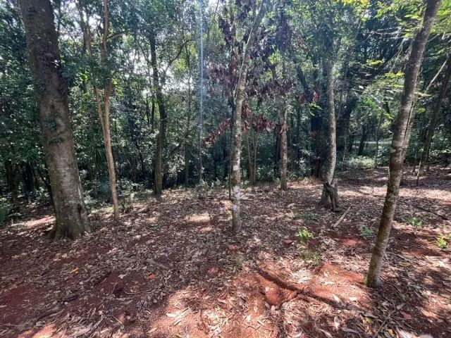 Chácara de com casa próxima do Colinas Golf - Foto 3