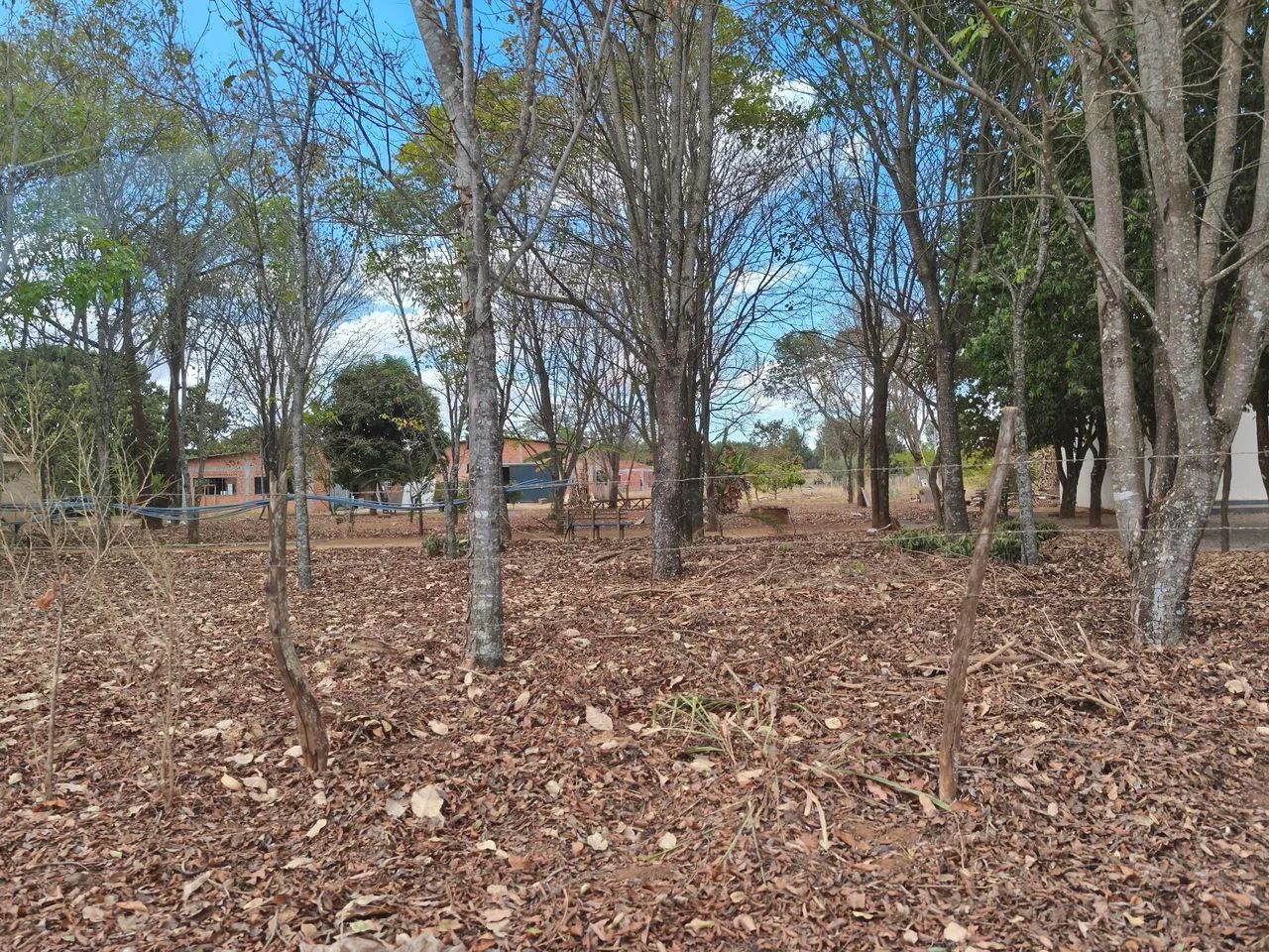 Lote de chácara Planaltina  - Foto 9