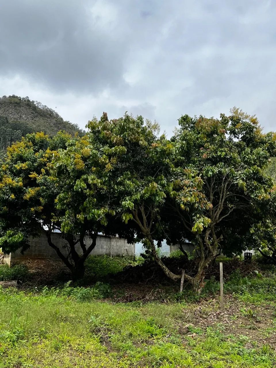 Terreno com 336m2 no Vale Sossai em Venda Nova do Imigrante - Foto 2