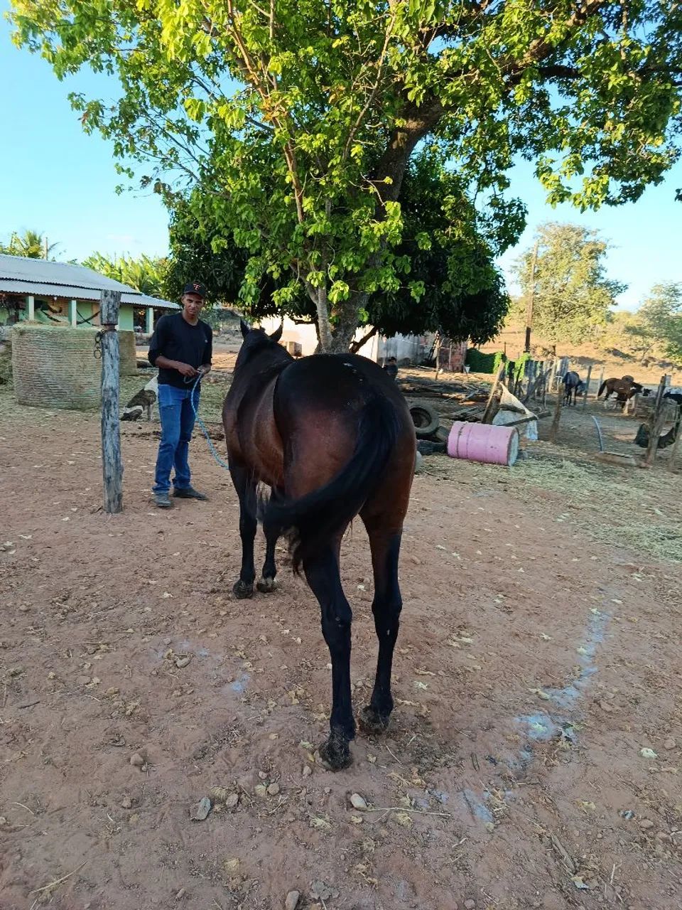 vendo ou troco  - Foto 6
