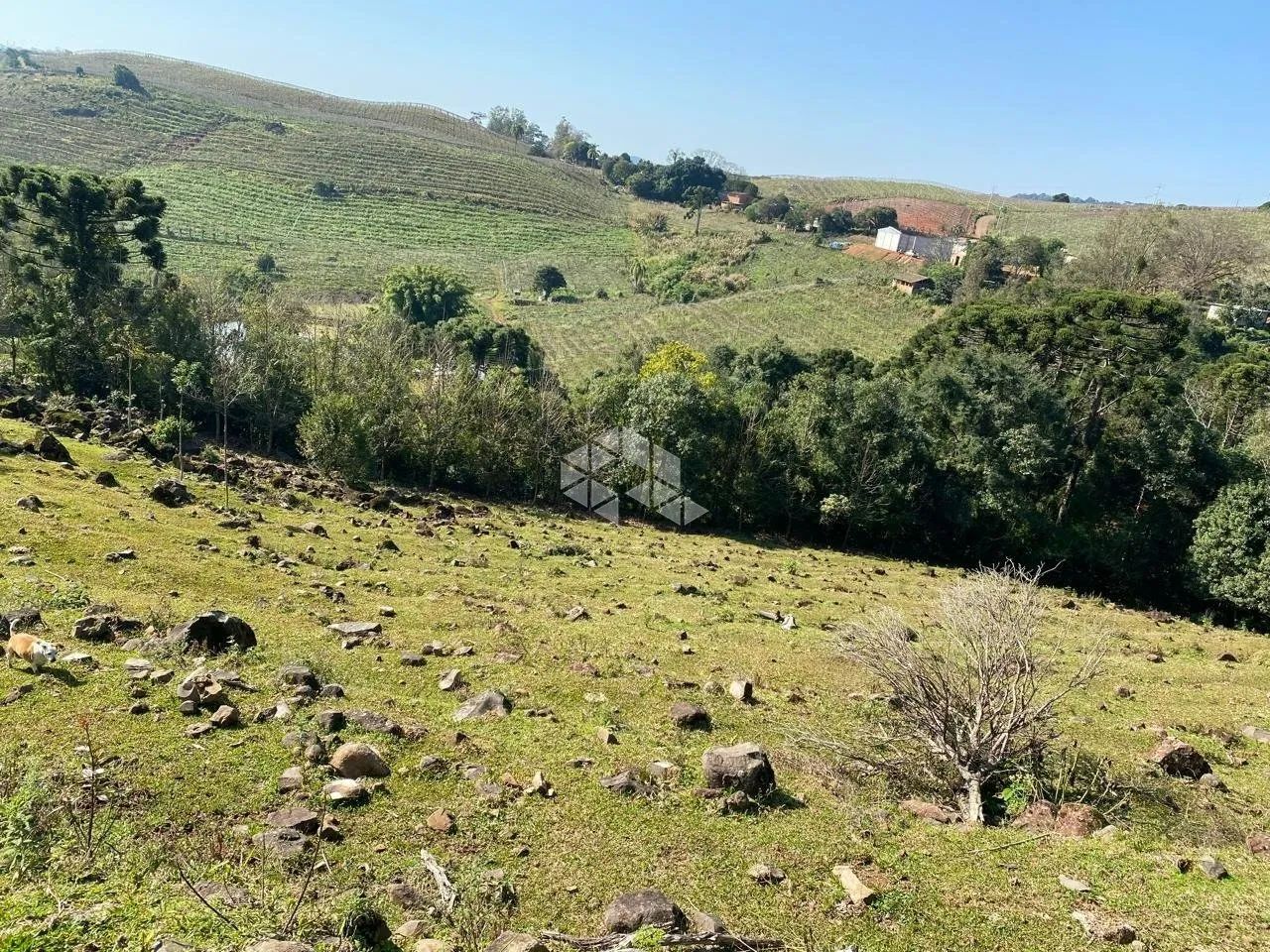 Área de Terras rurais - Foto 4