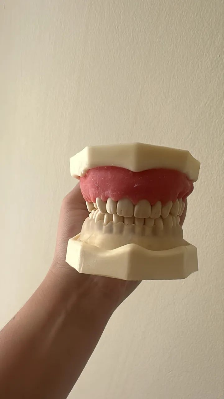 Manequim de Periodontia Orais