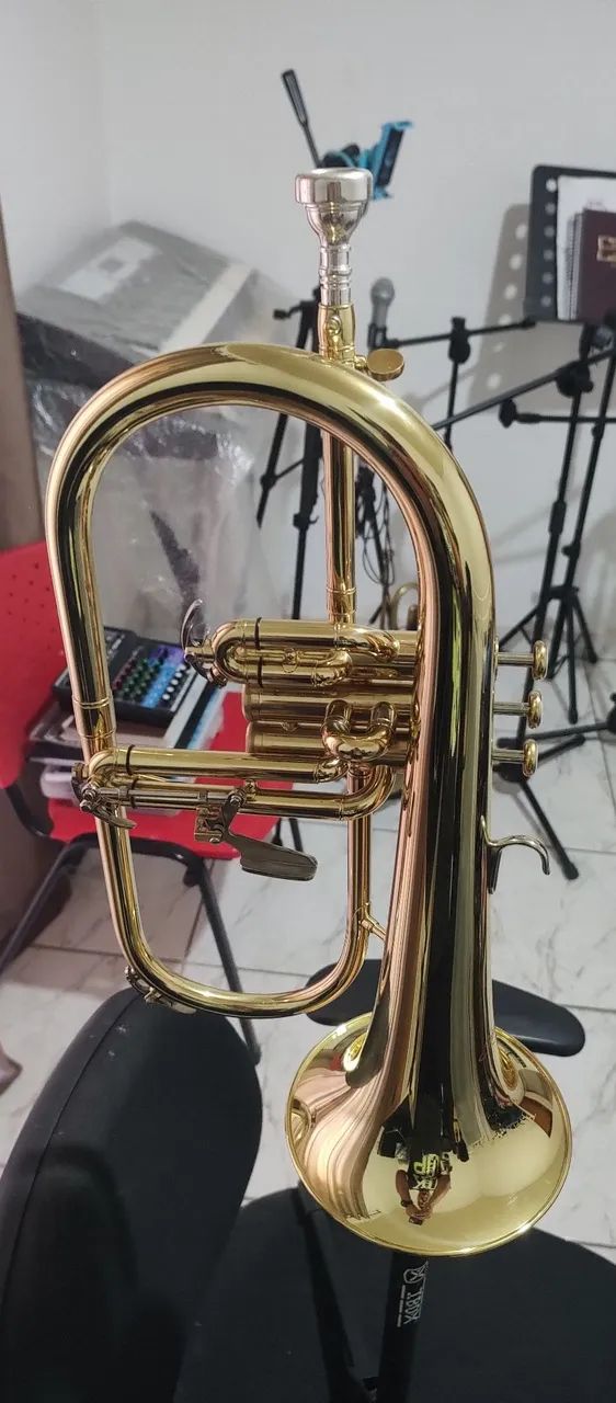 Flugelhorn  - Foto 5