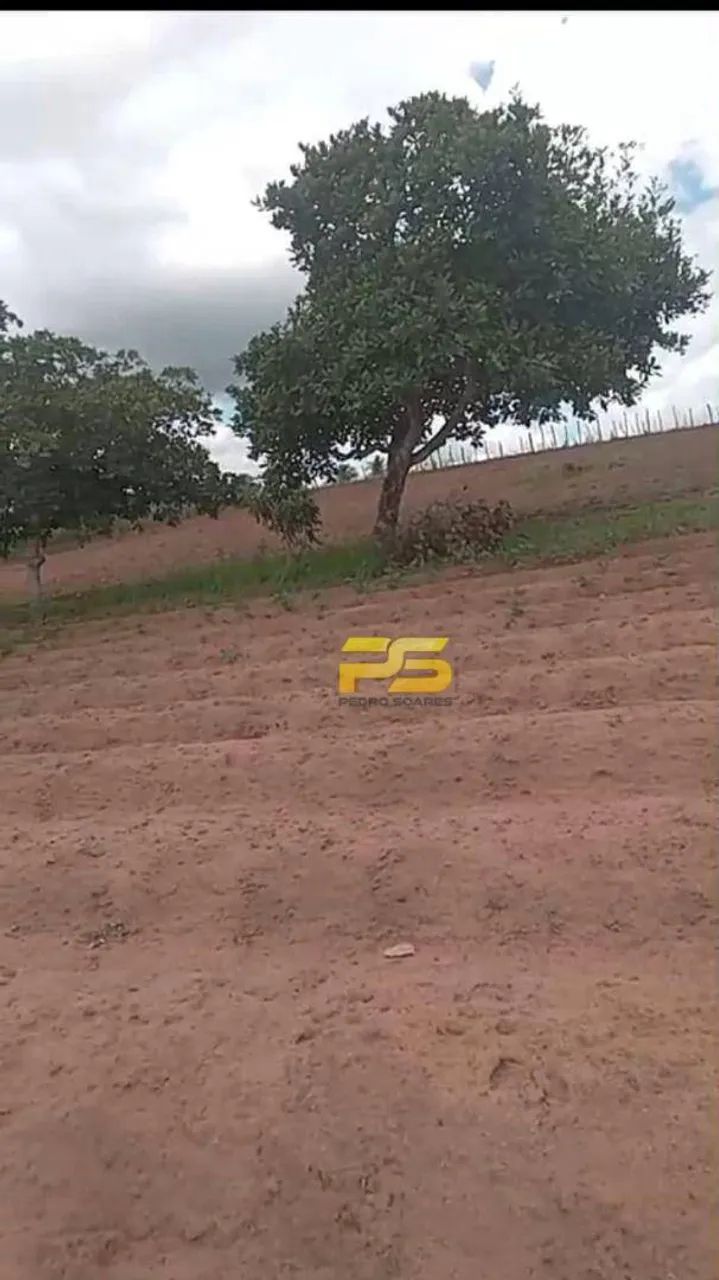 SÍTIO À VENDA  RIACHÃO DO POÇO (PRÓXIMO A SAPÉ/PB - Foto 3