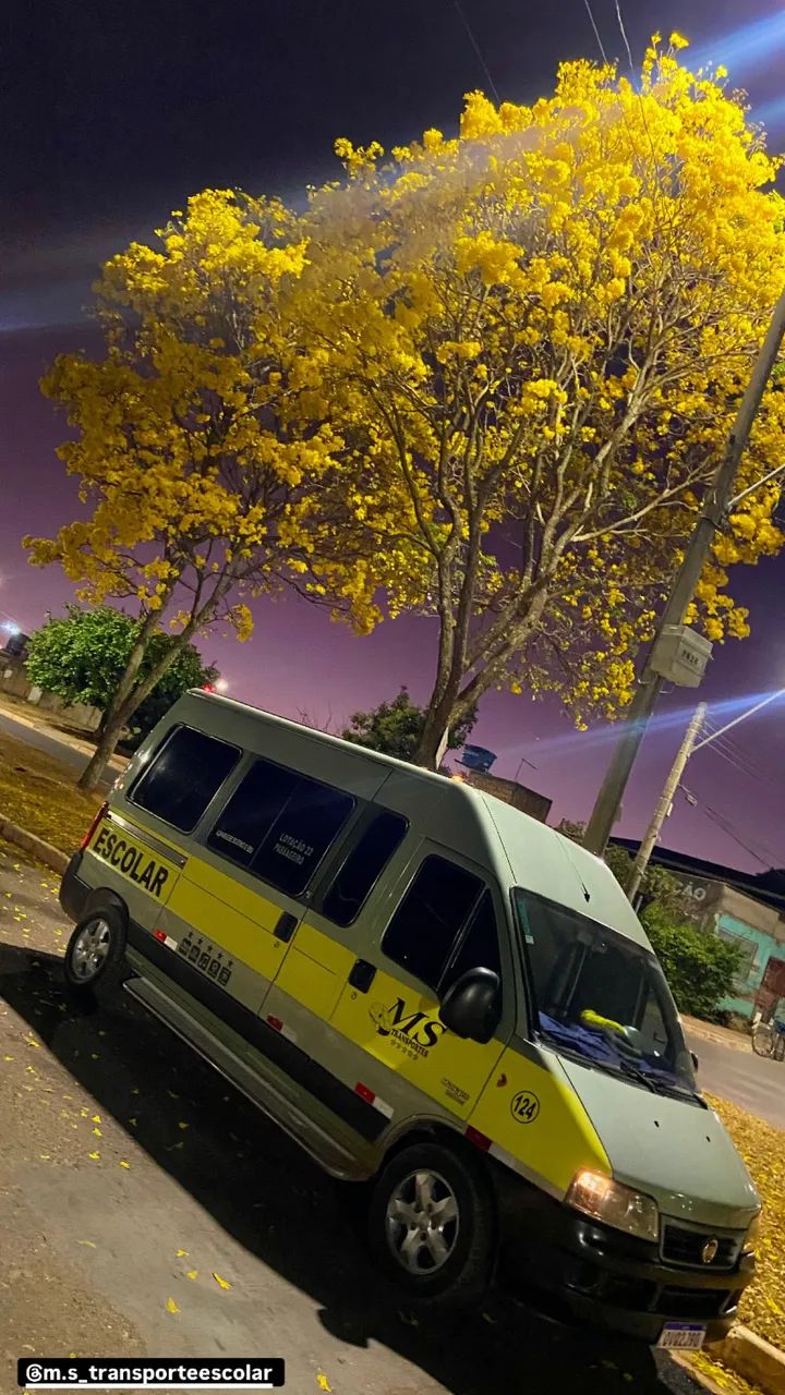 Van com Motorista FRETE 20 Lugares - Foto 3