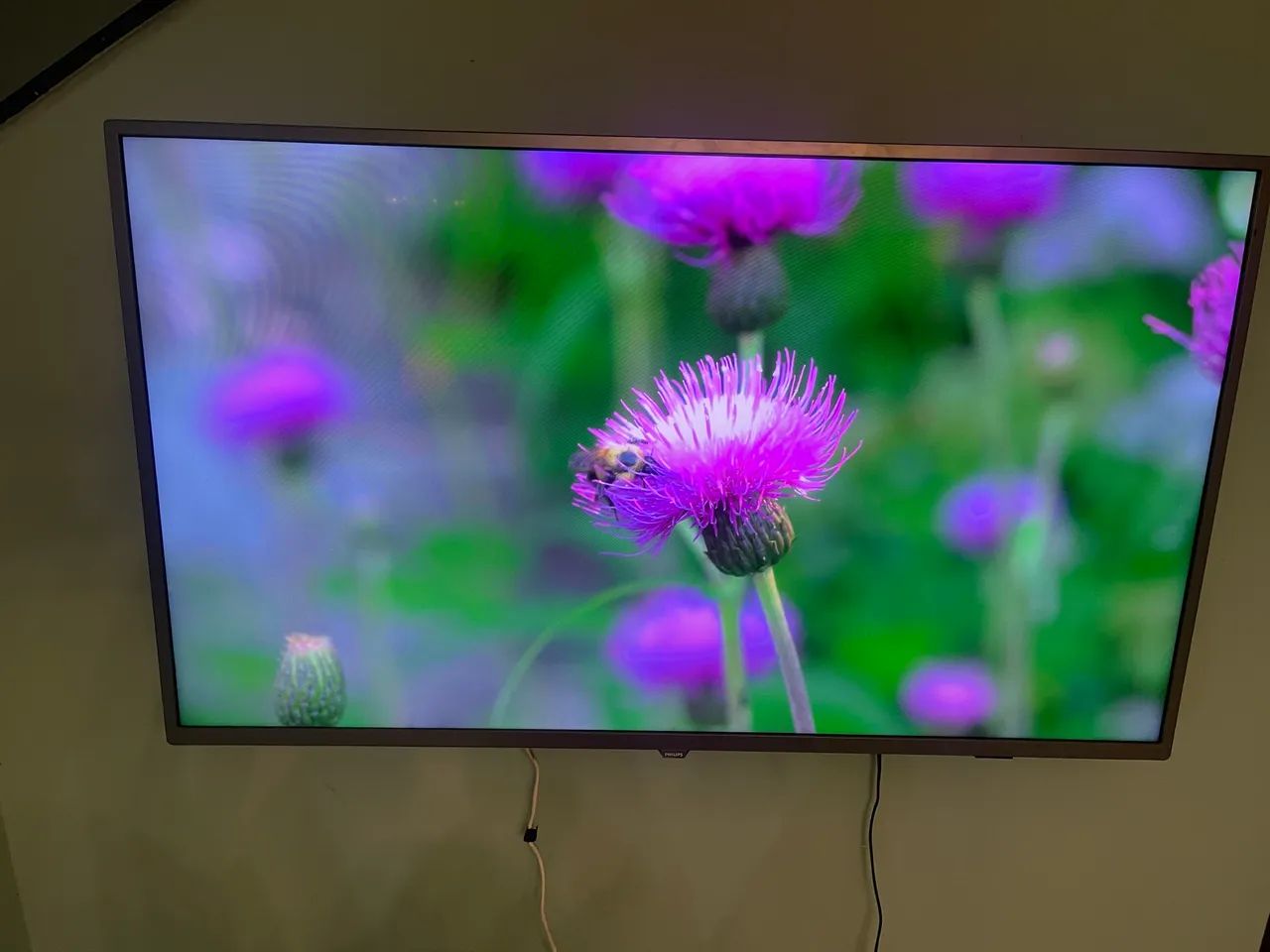 Tv Philips