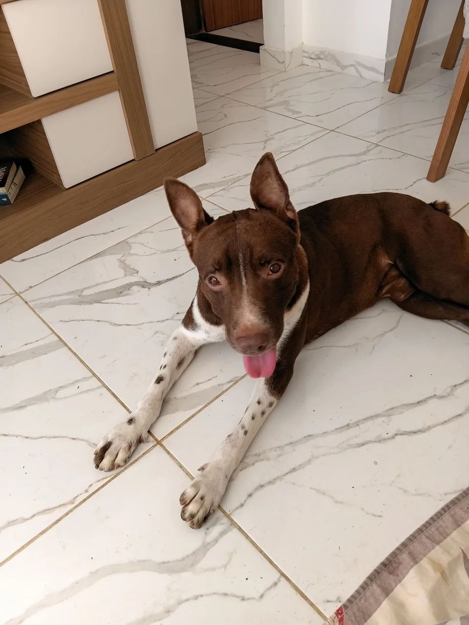Doação  - Foto 2