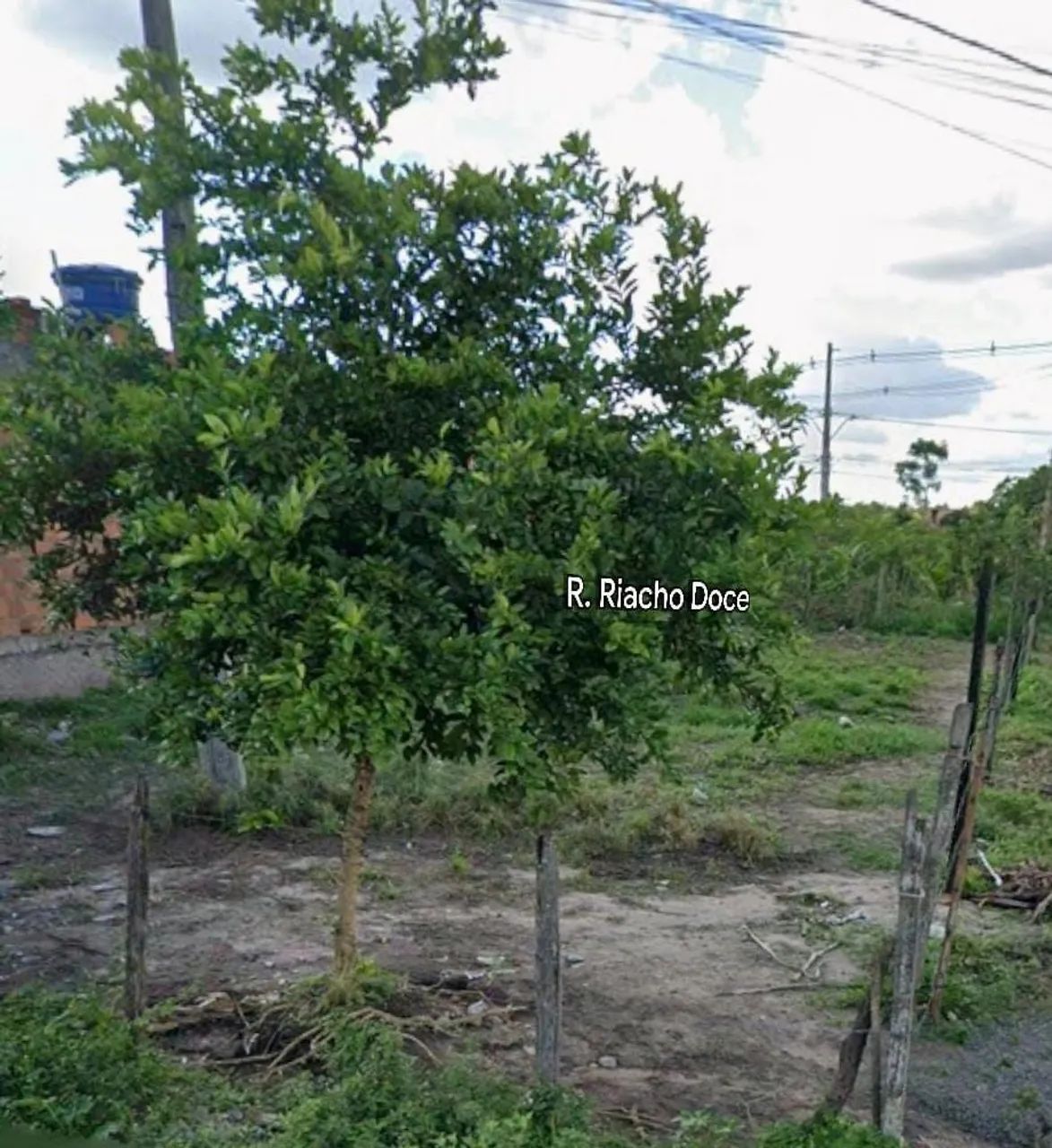 Vendo este terreno  - Foto 2