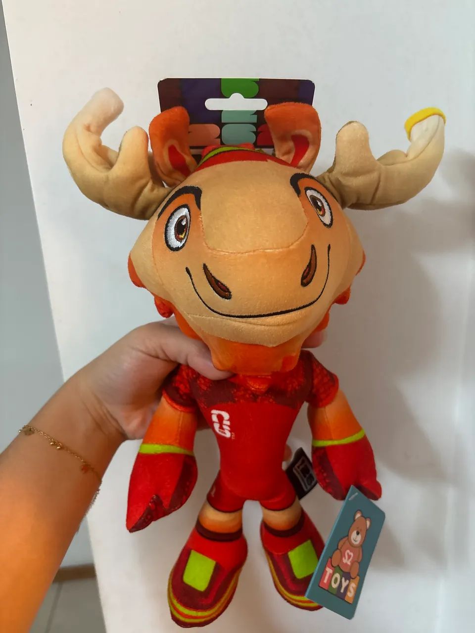 Mascote copa 