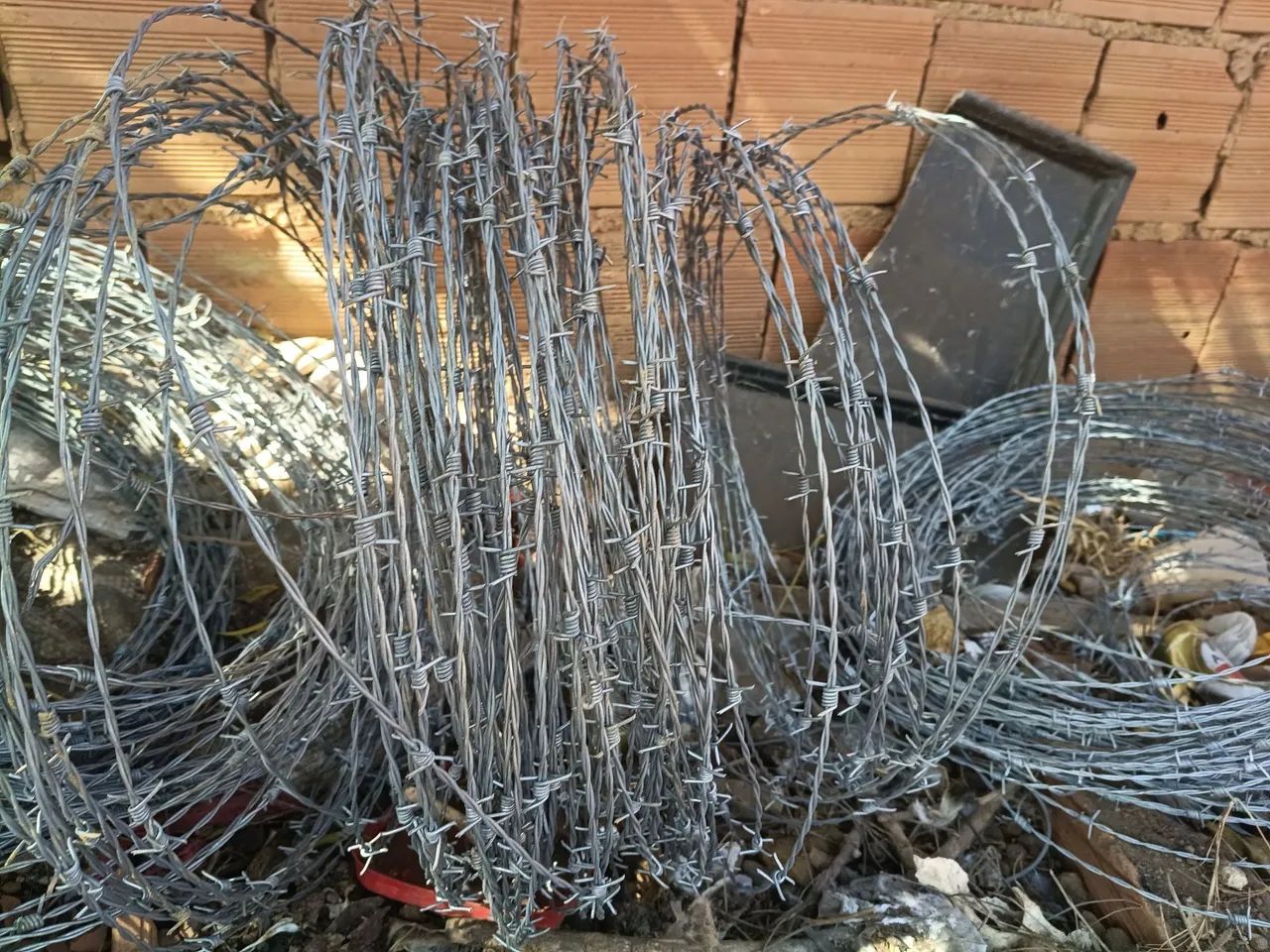 EUCALIPTO TRATADO  - Foto 4
