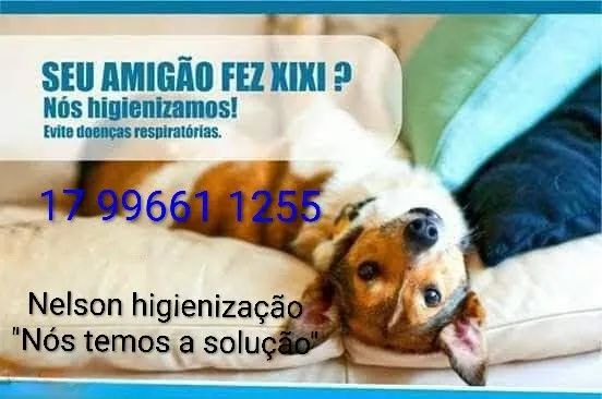 higienização de sofás a seco  - Foto 2