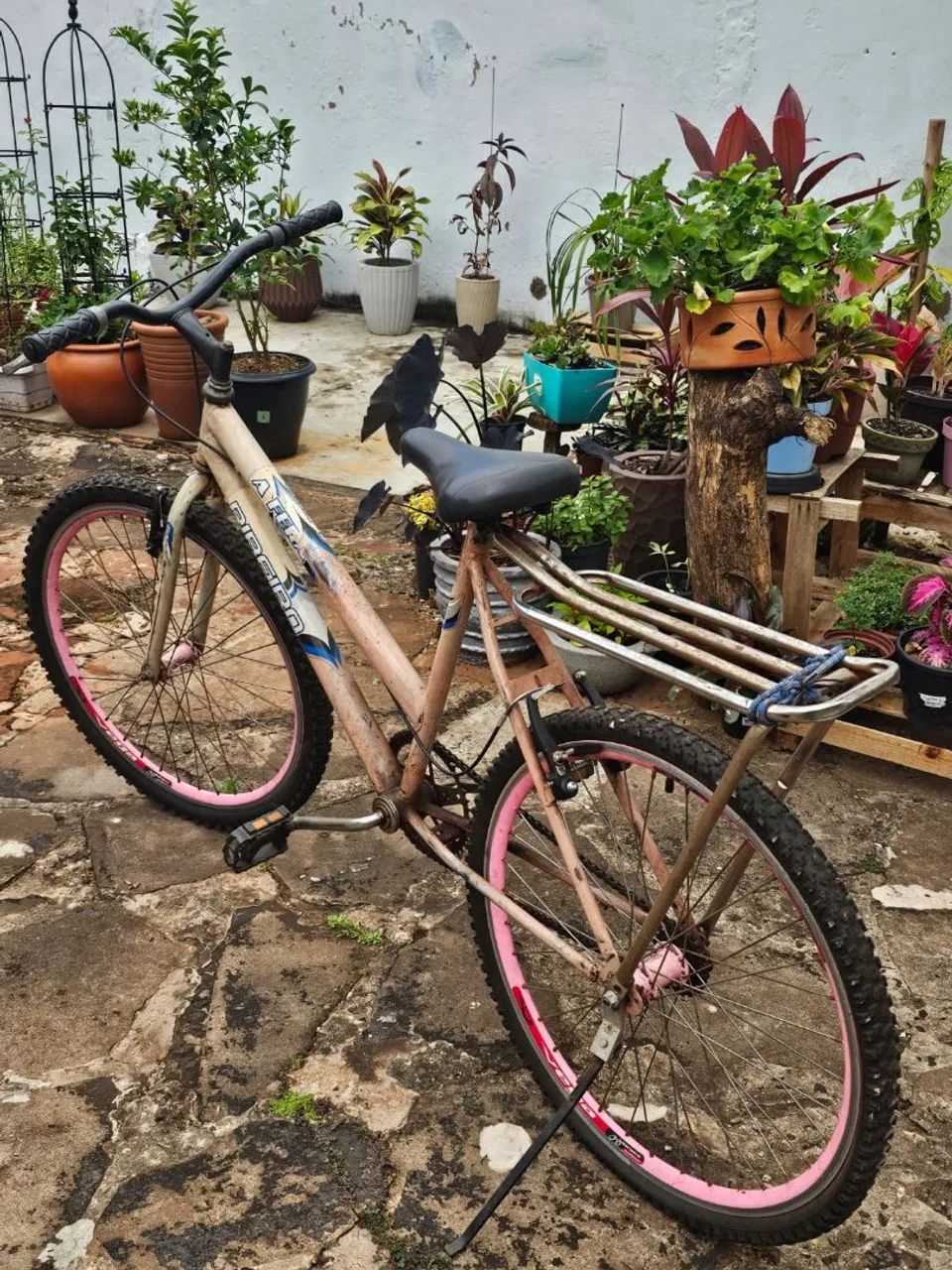 Bike Ceci