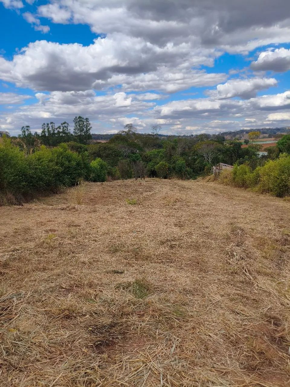 Chácara 4.000 M2, córrego, Nerópolis  - Foto 3