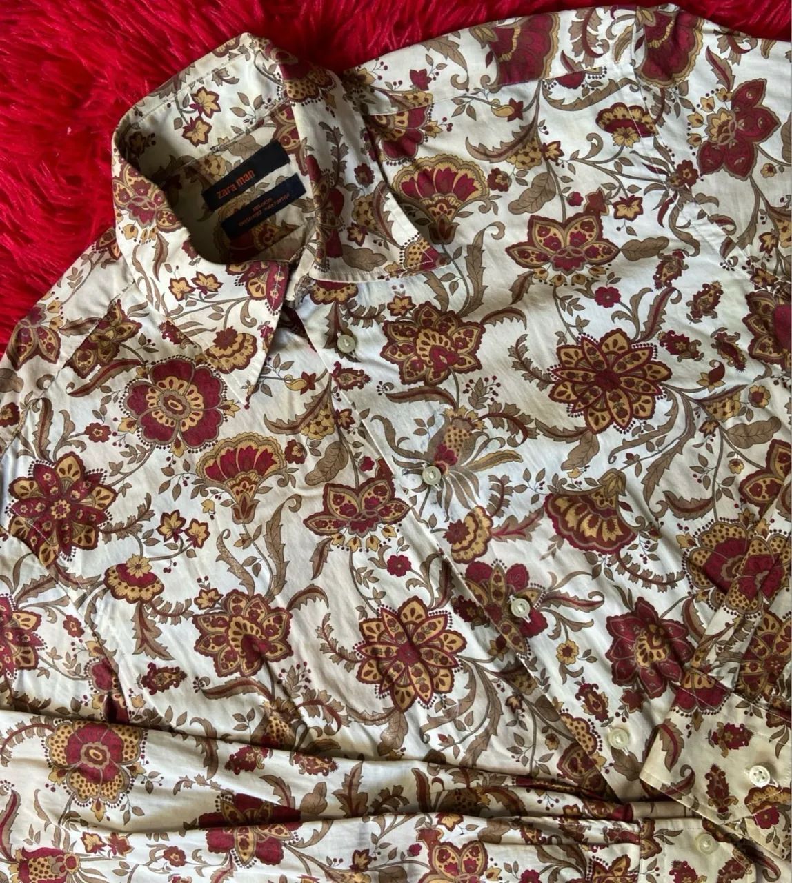 camisa zara (modelo raro)