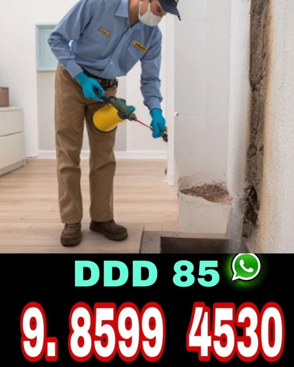 Dedetização Preventiva e Corretiva