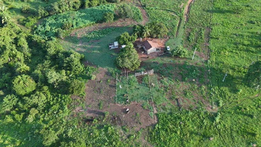 FAZENDA À VENDA - EXCELENTE OPORTUNIDADE