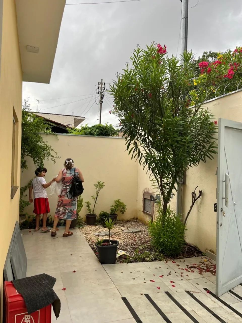 Foto - Montes Claros - Francisco Peres I