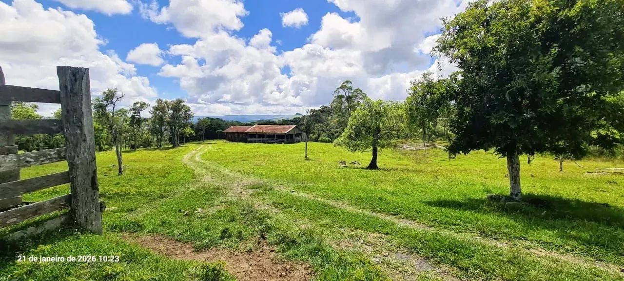 Fazenda em Alfredo Wagner- 113 ha -Serra Catarinense - Foto 4