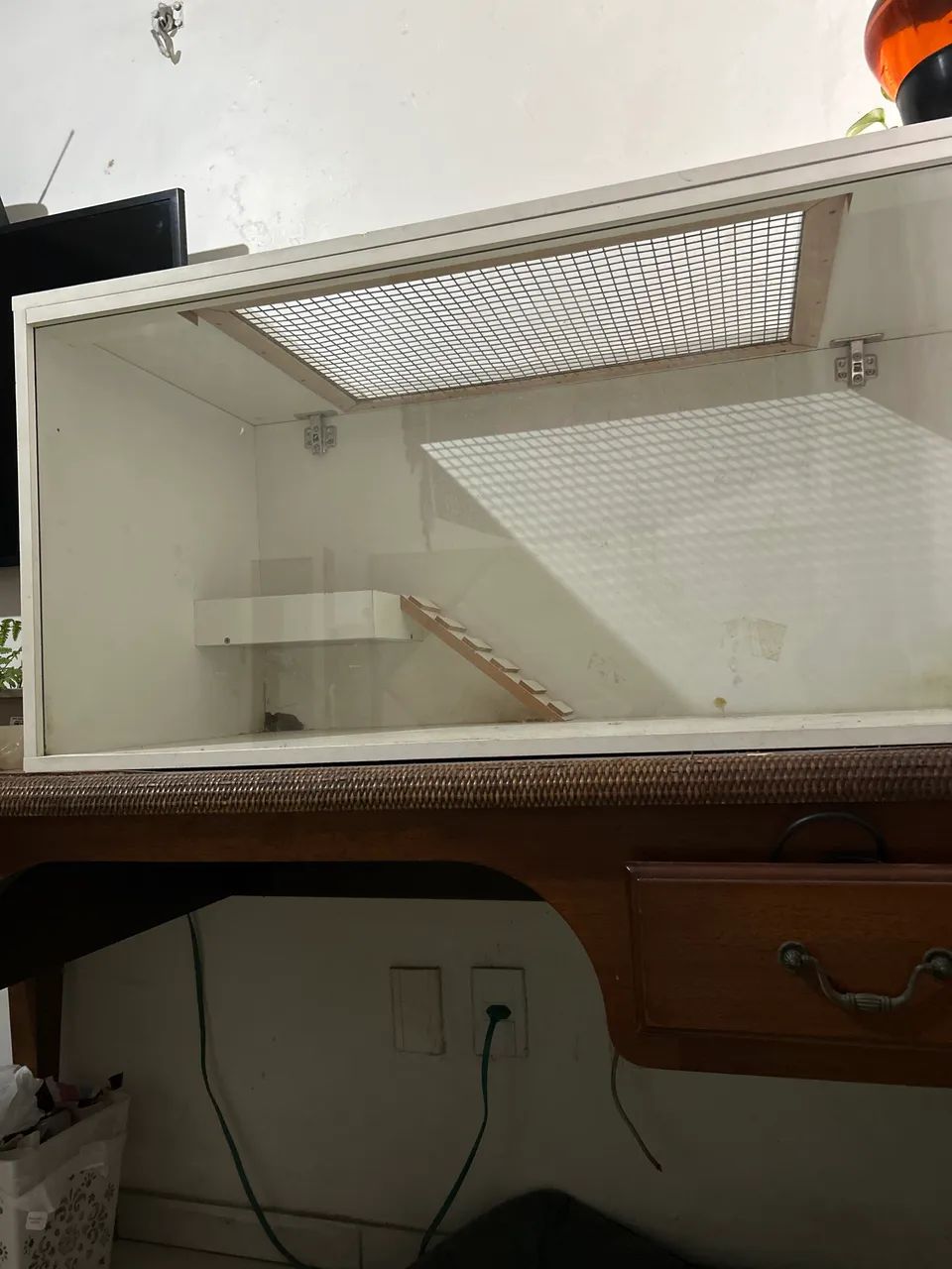 Terrário para hamster - MDF + vidro | 2 níveis - Foto 2