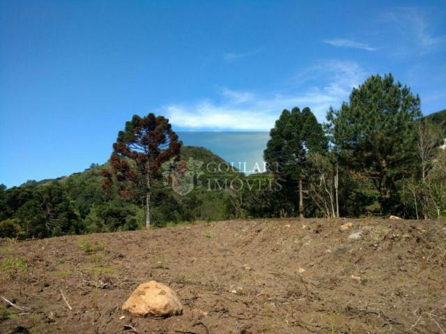 Chácara - Foto 3