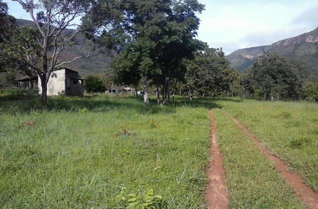 Lindo Sítio 20 alqueires em Formosa GO - Foto 4