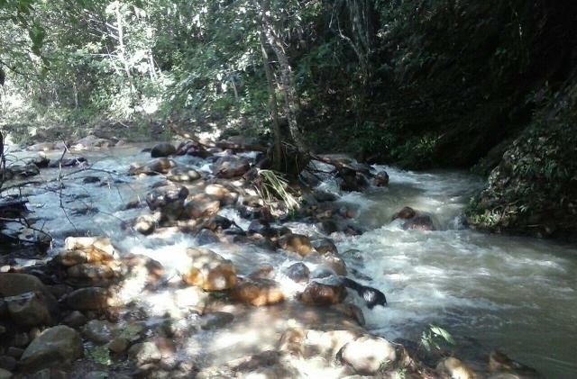 Lindo Sítio 20 alqueires em Formosa GO - Foto 11