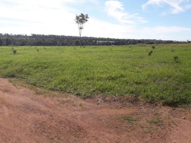 Fazenda de 261 alqueires, com 250 aberto 30 km de Nova Santa Helena -MT - Foto 13