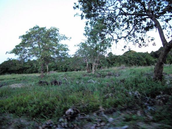 Terreno de 900 mil m2 em Porto Seguro - Foto 12