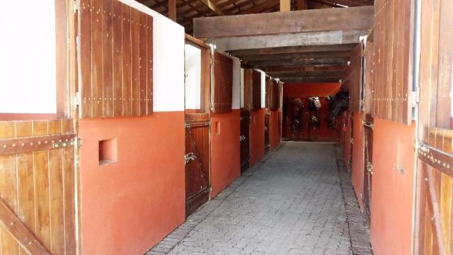 Haras em Louveira estruturado - Foto 2