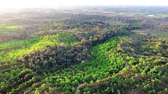 Fazenda em Igrapiuna com acesso ao mar - Foto 12