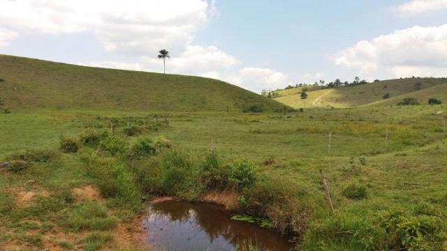 Fazenda 240 has em Tancredo Neves/BA - Foto 7