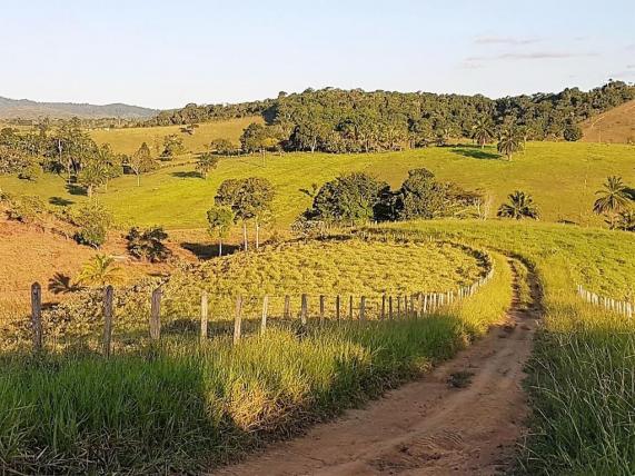 Fazenda 534 has em Tancredo Neves - Foto 12
