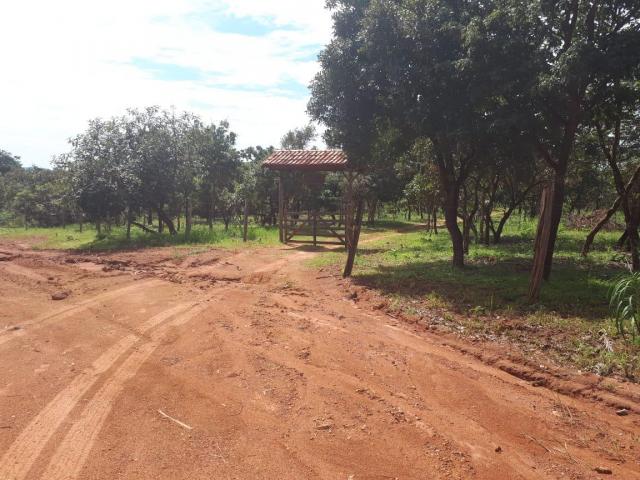Chácara à venda, 25000 m² por r$ 210.000,00 - rural - chapada guimarães/mt - Foto 14