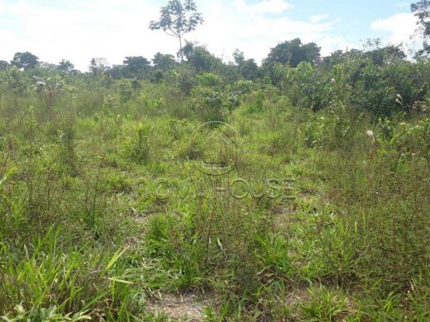 Fazenda rural à venda, centro, itaguaia - . - Foto 11