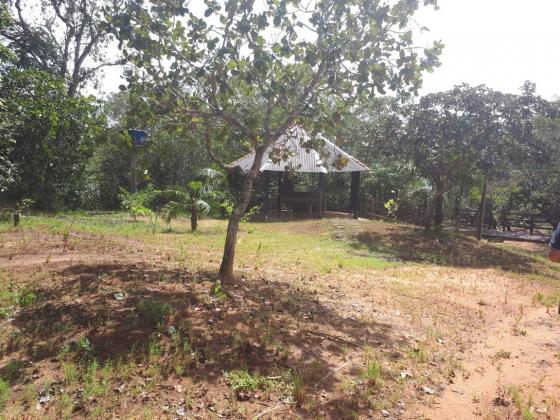 Chácara à venda, 25000 m² por r$ 210.000,00 - rural - chapada guimarães/mt - Foto 16