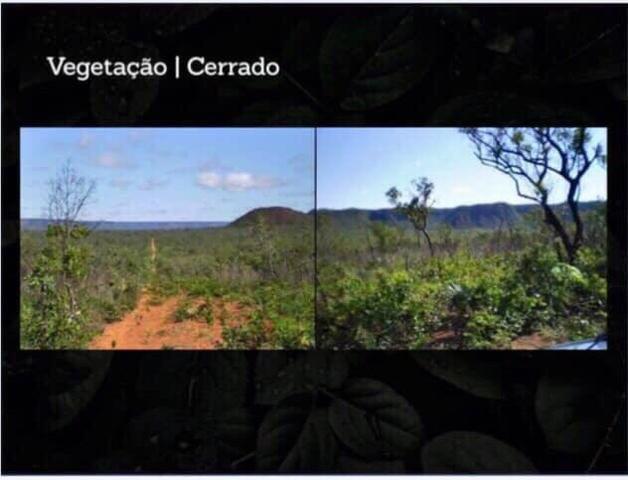 Fazenda na região de Formosa do Rio Preto-BA - Foto 12