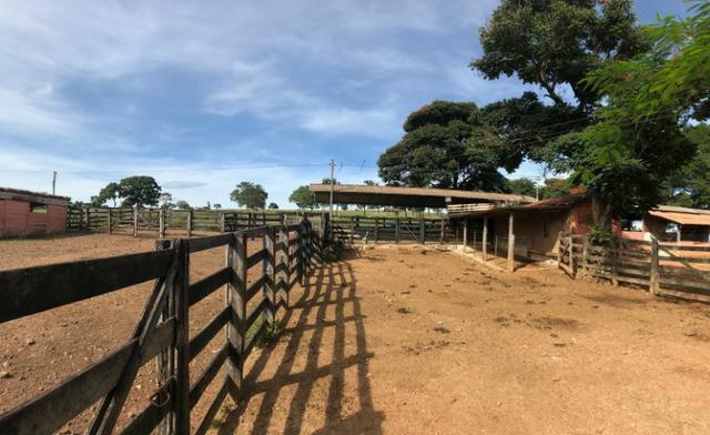 Fazenda 37,3 Alqueires ( 180,85 ha )- Nova Fátima-GO\Hidrolândia-GO - Foto 10