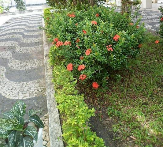 Freguesia Comendador Bastos 2 Quartos Churrasqueira Salão festas Vaga JBI27696 - Foto 14